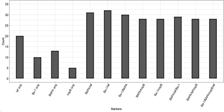 Figure 3: