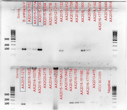 Figure 4: