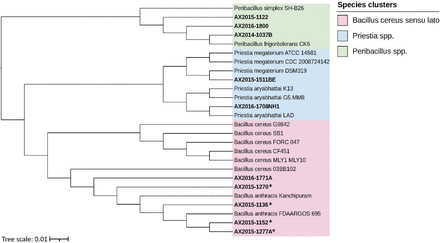 Figure 5: