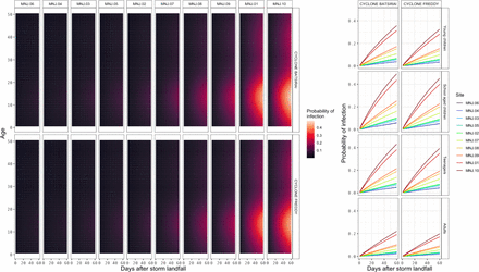 Figure 2: