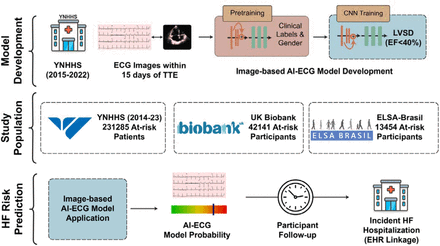 Figure 1: