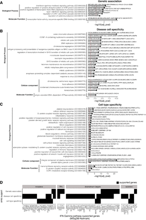 Supplementary Figure 13: