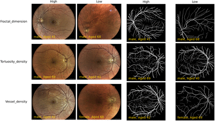 Figure 1: