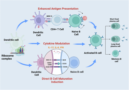 Figure 5: