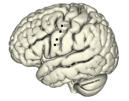 Figure S11: