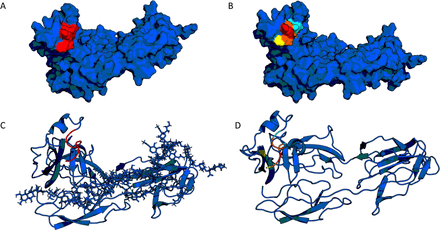 Figure 2: