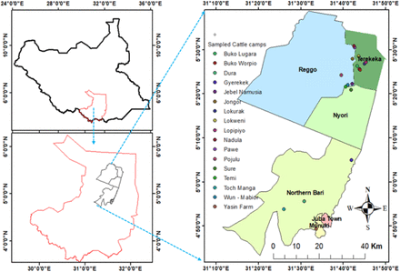 Figure 1: