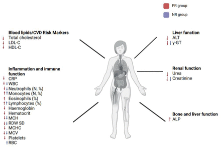 Figure 1: