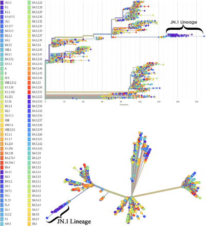 FIGURE 3