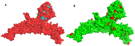 FIGURE 4