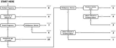 Fig 1.