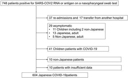 Figure 1: