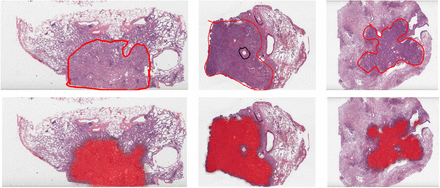 Supplementary Fig. 7: