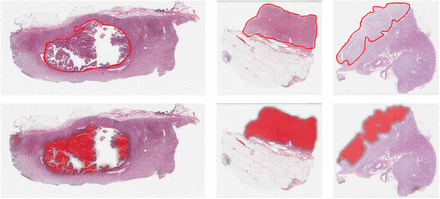 Supplementary Fig. 9: