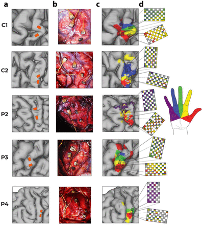 Figure 3.