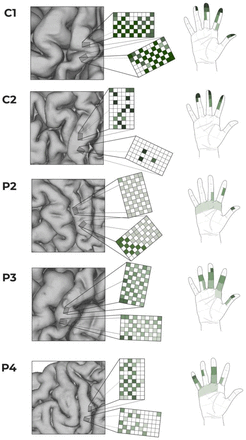 Figure 4.