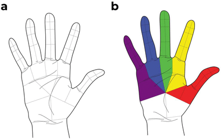 Figure 5.