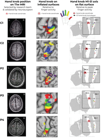 Supplementary Figure 1.