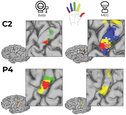 Supplementary Figure 2.