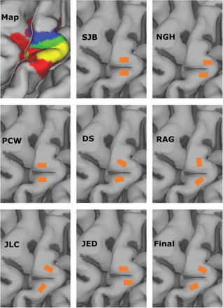 Supplementary Figure 3.