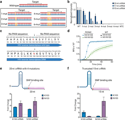 Figure 4: