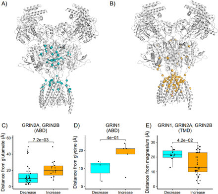 Figure 5: