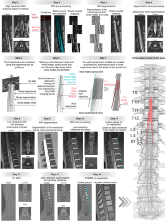 Supplementary Fig. 4.