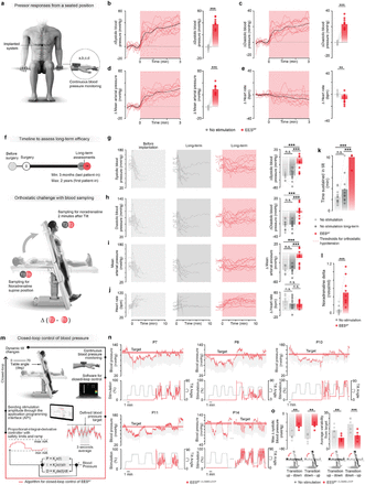 Supplementary Fig. 11.