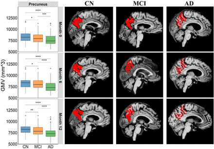 Figure 2: