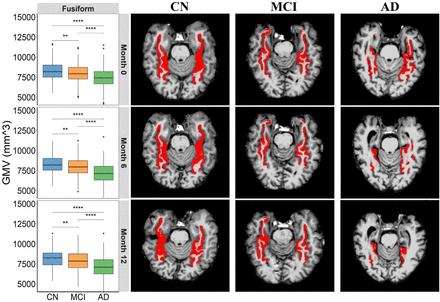 Figure 3: