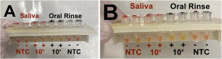 Figure 2: