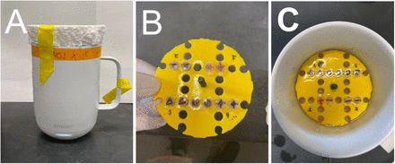 Figure 3: