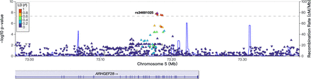 Fig.2