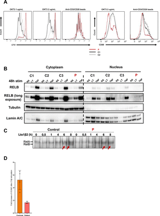 Supplementary Figure 5.