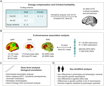 Figure 1: