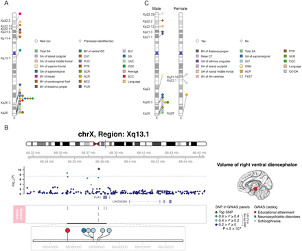 Figure 4: