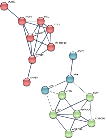 Figure 4: