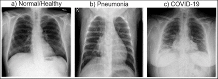 Fig. 1: