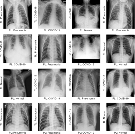 Fig. 8: