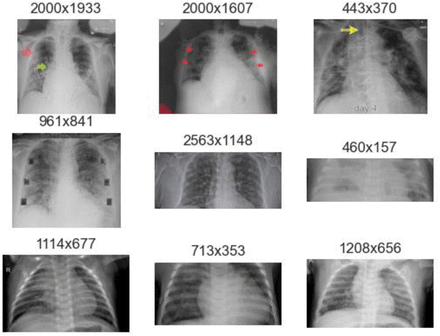 Fig. 9: