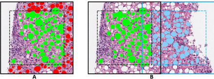 Supplementary Figure 1.