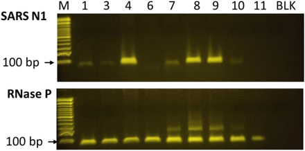 Figure 11.