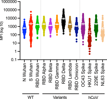 Fig 1.