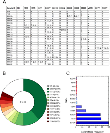 Figure 5: