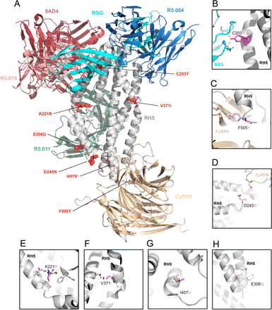 Figure 6: