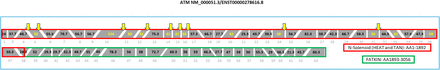 Supplementary Figure 1.