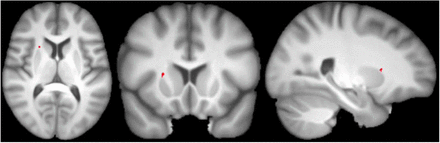 Figure 5: