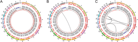 Fig. 4.