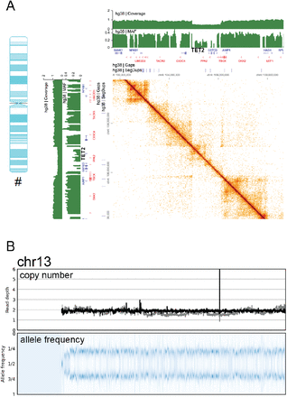 Fig. 7.