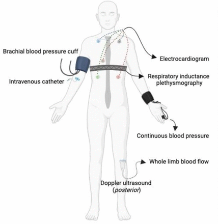 Figure 1: